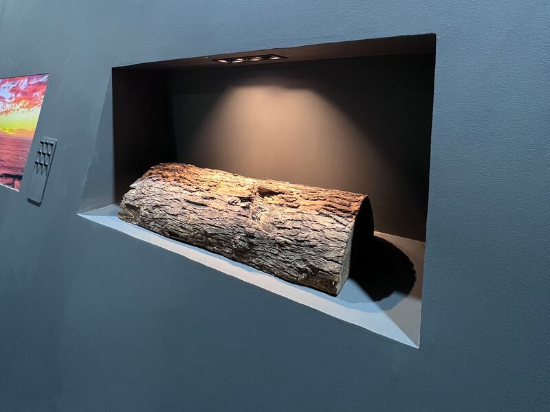 A piece of an oak tree damaged by shrapnel taken from Irpin. It is now on display at the pavilion. Photo: Ukraine at Cop27.  