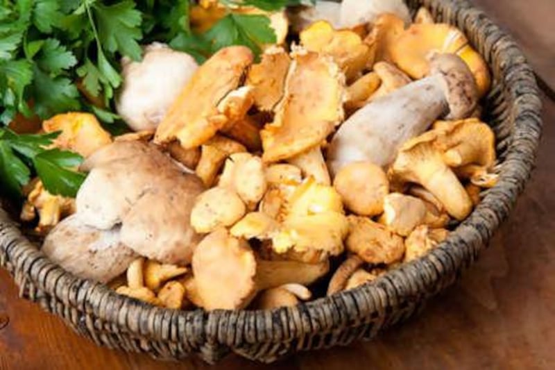 There are few dishes more simple and satisfying than a well-seasoned mix of morels, shiitake and other wild mushrooms.