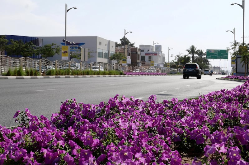 DUBAI, UNITED ARAB EMIRATES , Feb 08 – View of the Jumeirah beach road in Umm Suqeim area in Dubai. (Pawan Singh / The National) For News/Stock/Online/Instagram. Story by Georgia
