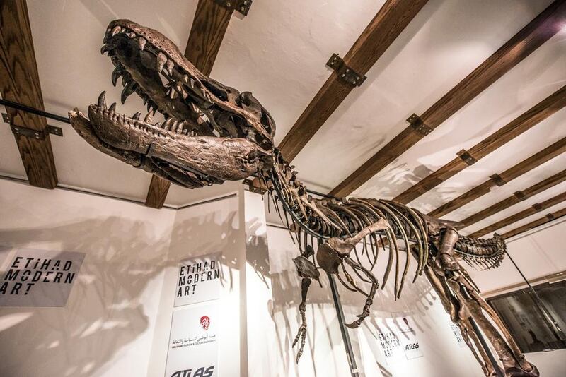 A handout photo of Tinker, the skeleton of a juvenile T-Rex is currently on display at the Etihad Modern Art Gallery in Abu Dhabi. (Courtesy: Etihad Modern Art Gallery)
