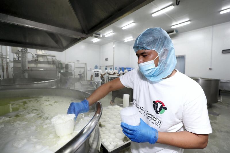 Sharjah, United Arab Emirates - Reporter: Kelly Clarke. News. Food. A gentleman collects Ricotta. Italian Dairy Products is a factory in Sharjah that makes mozzarella cheese the Italian way using local UAE ingredients. Monday, February 15th, 2021. Dubai. Chris Whiteoak / The National