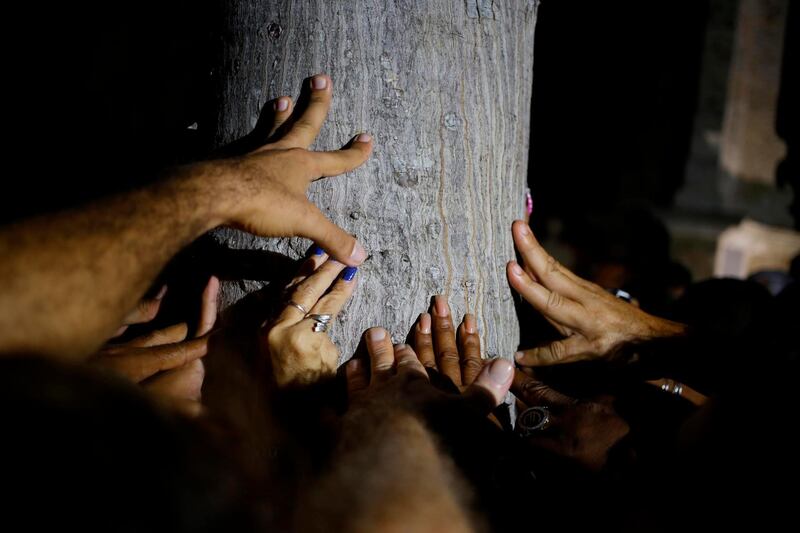 People touch and make wishes as they circle a ceiba tree marking the 499th anniversary of the city's founding, in Havana, Cuba. AP