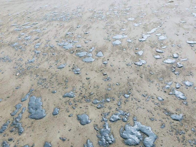 Oil spill in Kalba. Courtesy Sharjah Environment and Protected Areas Authority