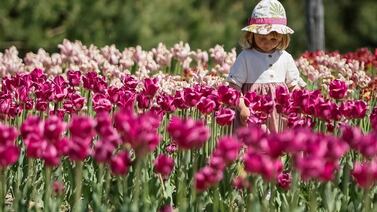 A girl walks among blooming tulips in a park, amid Russia's attack on Ukraine, in the outskirts of Kyiv, Ukraine May 1, 2024.  REUTERS / Alina Smutko     TPX IMAGES OF THE DAY