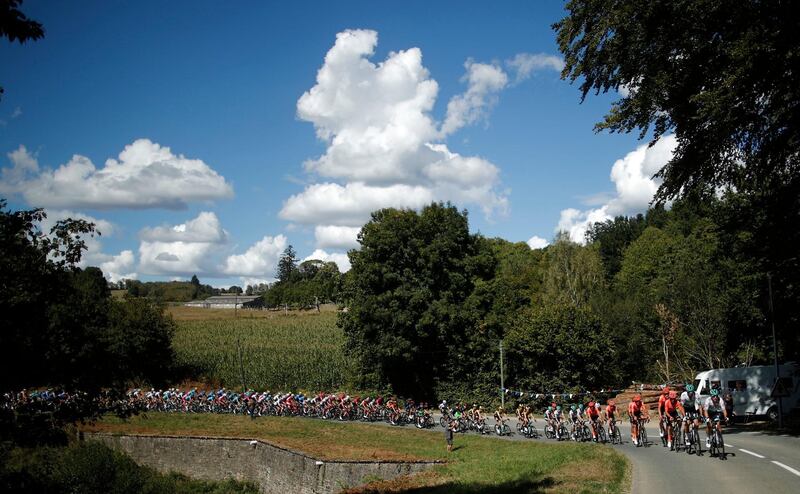 The peloton during Stage 12. Reuters