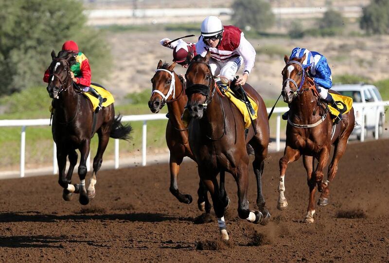 Farrier and jockey Richard Mullen, second right, pull away during the 1,950m conditions race at Jebel Ali Racecourse on Friday. Mohamed Hanifa / Al Ittihad

