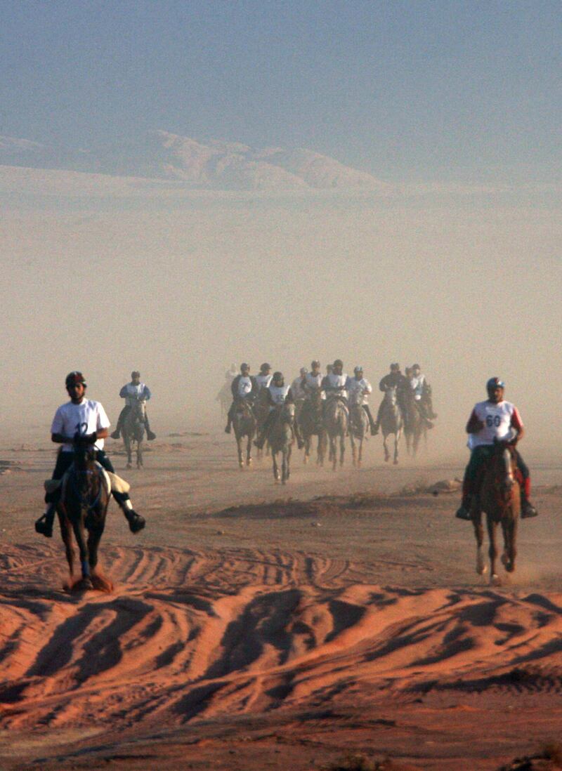 Jockeys compete with their horses in the Wadi Rum International Endurance Ride in the Jordanian desert on November 14, 2008. Dubai ruler Sheikh Mohammed bin Rashed al-Maktoum, who is also Emirati vice president and prime minister, won the 120-km race. AFP PHOTO/AWAD AWAD *** Local Caption ***  708035-01-08.jpg