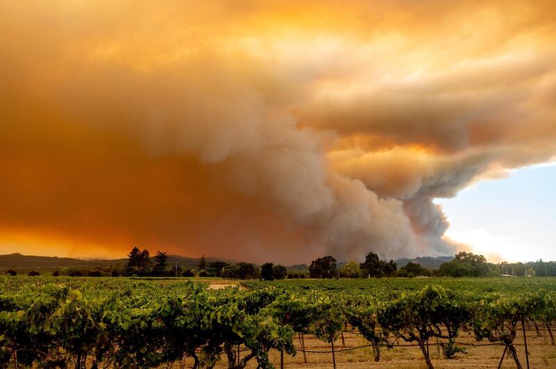 A plume billows over Healdsburg, California, as the LNU Lightning Complex fires burn. AP Photo