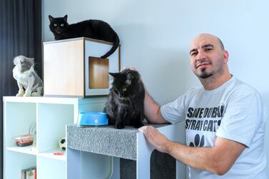 Fawaz Kanaan is on a mission to rescue Dubai's stray cat population. Victor Besa / The National
