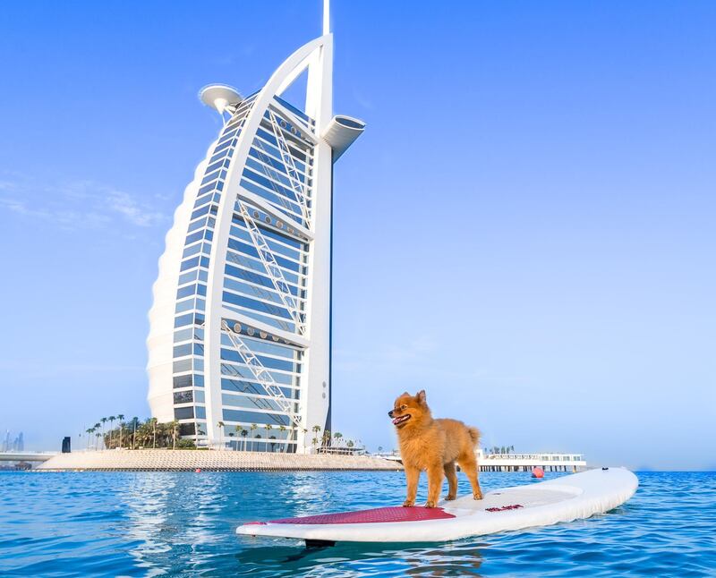 Xena paddleboards in front of the Burj Al Arab as part of a commercial shoot for Jumeirah Hotels and Resorts. Courtesy Jumeirah