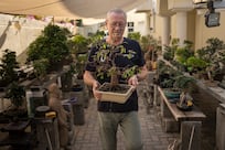 Dubai's Scottish bonsai master keeps ancient art alive