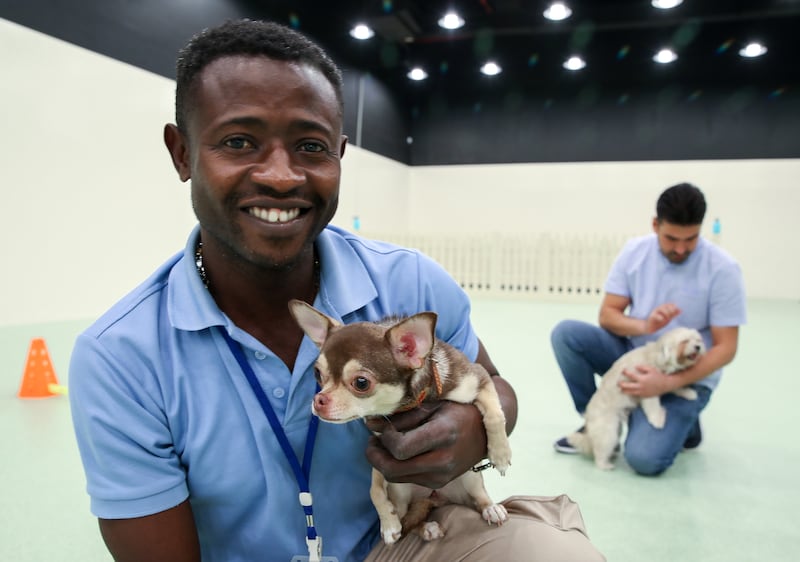 Fuejio Martin Nkule is part of the dog day care team