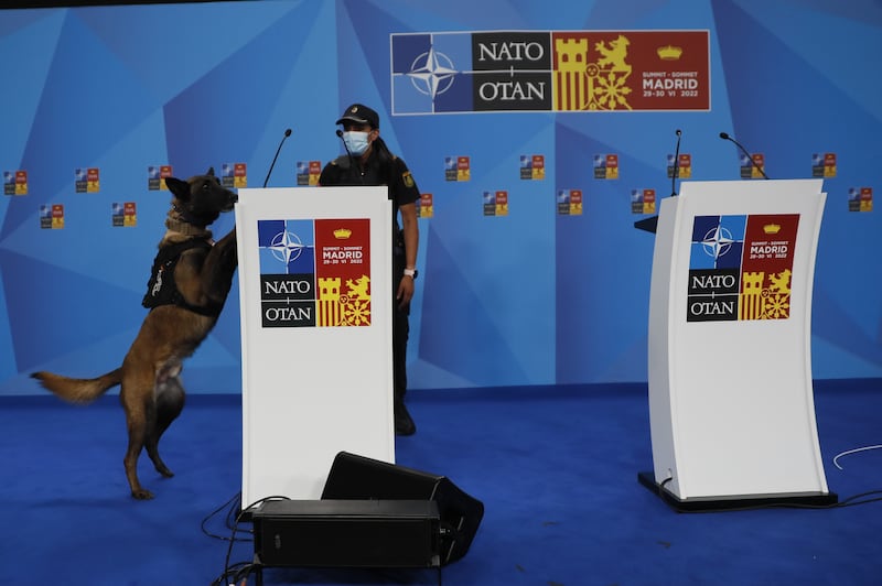 Spanish police use sniffer dogs to check a podium at the Ifema centre in Madrid. EPA
