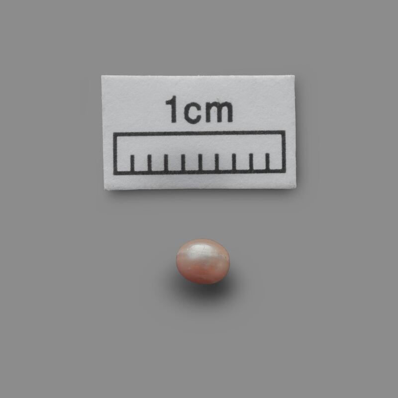Natural Pearl
c. 5800 BCE, Marawah, United Arab Emirates
3 mm (diameter)
HE.2017.00001
Department of Culture and Tourism - Abu Dhabi
 
Description:
Marawah Island is home to one of the most important archaeological sites in the United Arab Emirates. It provides significant evidence to help us better understand the human communities that lived in the region during the Neolithic period, some 8,000 years ago. The site is comprised of at least seven mounds and excavations in some of them have revealed stone houses dating to c. 6000 BCE. These houses were used as burial chambers during later periods. Within one of the chambers, fragments of the oldest known human skeleton in the emirate of Abu Dhabi were found.
It is, however, the discovery of a complete natural pearl, which dates to the period when the structures were used as houses, that is of enormous importance. Carbon 14 analysis on a sediment sample associated with the pearl indicates a date between 5,800 and 5,600 BCE. Prior to this discovery, the oldest known pearls in the UAE came from a site in Umm Al Quwain and one near Jebel al-Buhais in Sharjah. The Marawah Pearl is older than these making it the world’s oldest known pearl. It indicates that pearls were already gathered in the UAE  8,000 years ago.