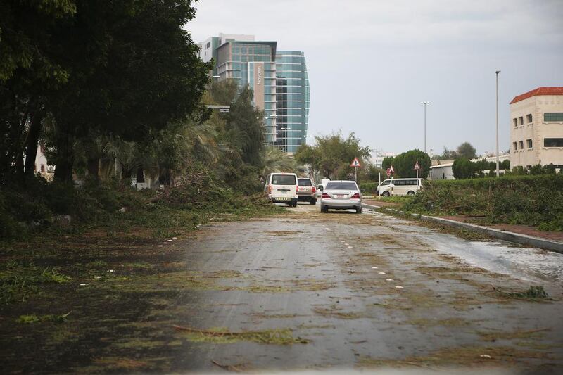 Trees uprooted on 29th Street  in Abu Dhabi. Ravindranath K / The National