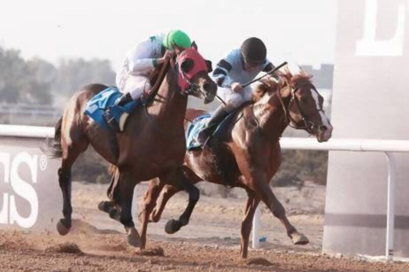 The Ruler of Sharjah Cup race between Al Waqqad, left, and MH Areeb ended in a tie. Jeffrey E Biteng / The National