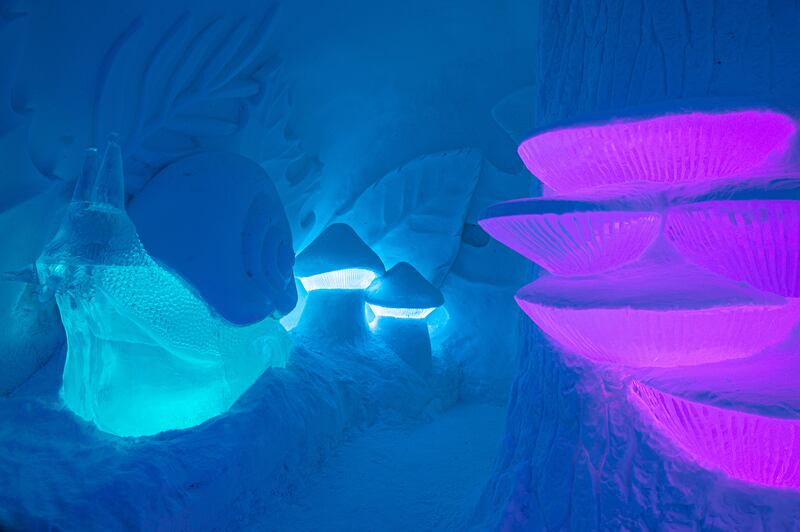 Travellers can sleep under giant mushroom-spheres with a friendly snail companion at Icehotel 33. Photo: Asaf Kliger