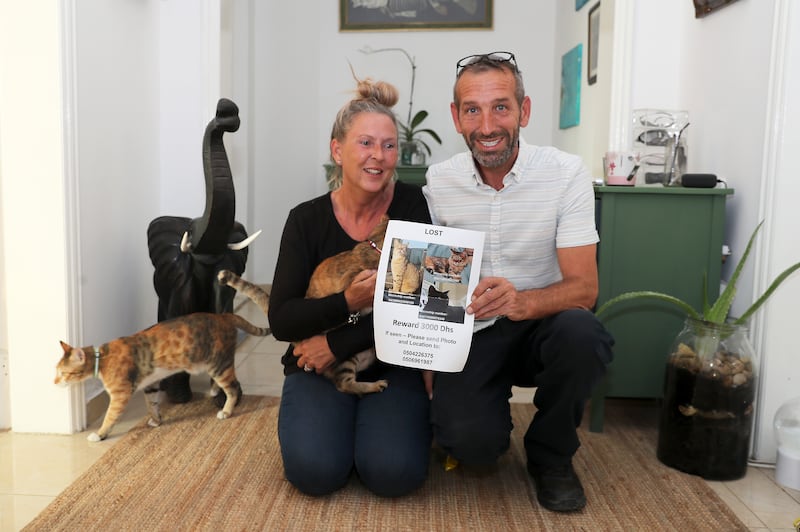 Jacqueline and David Appleby found their cat, Monty, but Blacky and Winnie are still missing. Pawan Singh / The National