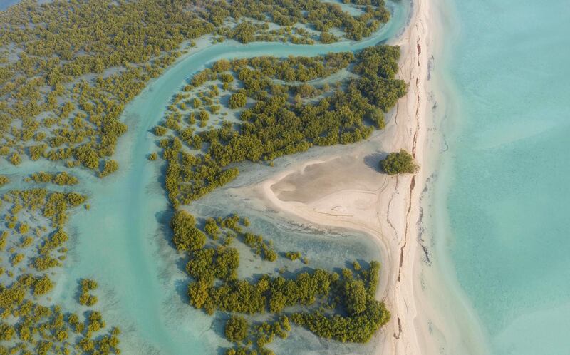 Sir Bani Yas Island is a protected nature reserve with desert dunes and natural mangroves, surrounded by the Arabian Gulf.