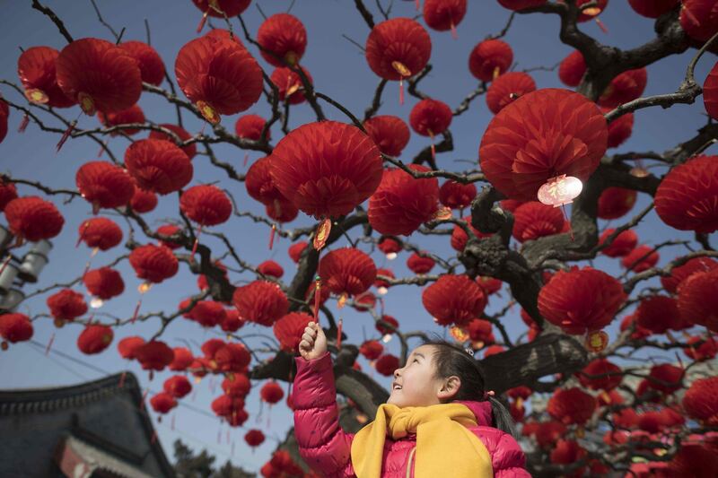 A girl holds a lantern made of paper attached on a tree at the entrance of Ditan Park in Beijing on February 1, 2018. 
The Lunar New Year falls on February 16 this year, with celebrations in China scheduled to last for a week. Nicolar Asfouri / AFP