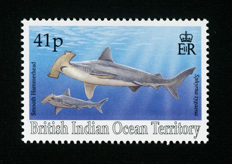 This British Indian Ocean Territory postage stamp depicting two Smooth hammerheads will soon be replaced by a Mauritian version. Getty