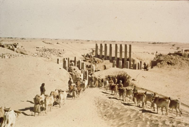 Wendell Phillips’ team begins excavation at a peristyle hall in Marib, present-day Yemen. 