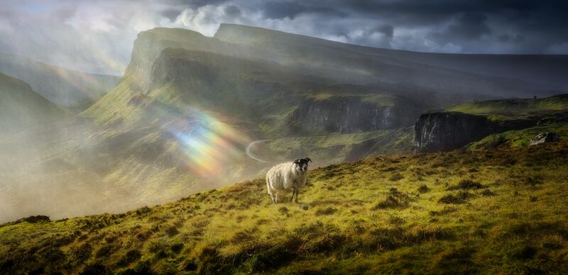 Calvin Downes captured a rainbow of colours shining directly onto a sheep on the Isle of Skye in October 2019.