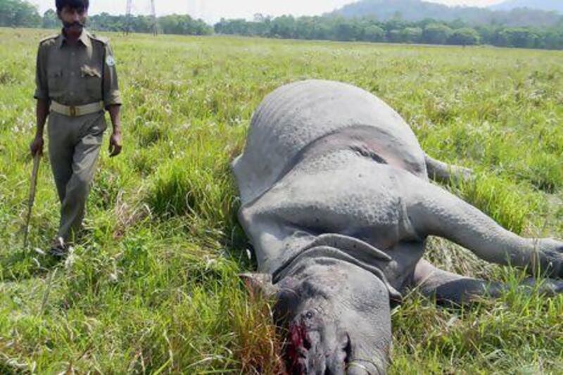 Heavily-armed poachers fired at the rhino inside Assam state's Kaziranga National Park and its horn was gouged out, just a day after another giant pachyderm was killed.
