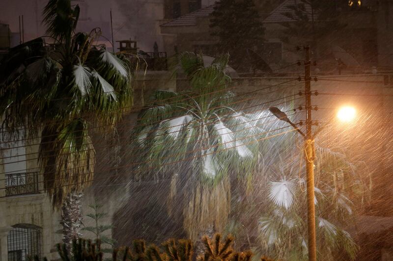 Palm trees get their first winter snow in a deserted street in Amman, Jordan. According to local media news, snow was expected in areas from 900m and above. The Jordanian authorities announced on 16 January evening that government and private schools would not run the next day due to the weather conditions.  EPA