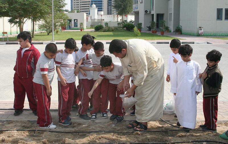 Pupils from Zayed bin Sultan School for Boys in Dubai are given a hands-on lesson on organic farming as part of a nutritional programme introduced to 54 government schools by the Ministry of Education. Courtesy PH7 Catering