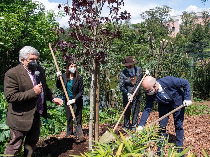 The president of the Bioparco Foundation of Rome, Francesco Petretti, joins the mayor of Rome and the ambassadors of Bahrain and Israel to plant a 'Crimson King' in Rome. The occasion, to mark World Earth Day on April 22, is one of thousands the world over to help raise awareness of environmental issues. EPA