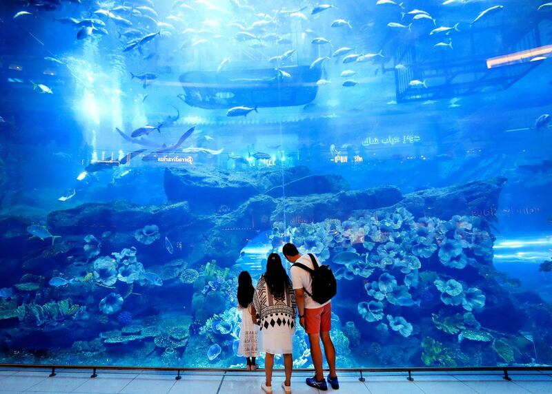 Dubai, United Arab Emirates - August 04, 2019: Standalone. Visitors to Dubai mall look at the huge aquarium. Sunday the 4th of August 2019. Dubai Mall, Dubai. Chris Whiteoak / The National