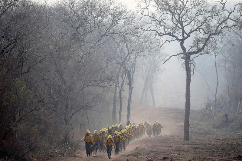 Firefighters of Bolivia's army patrol an area where wildfires have destroyed hectares of forest at Rancho Grande village in Robore, Bolivia. Reuters