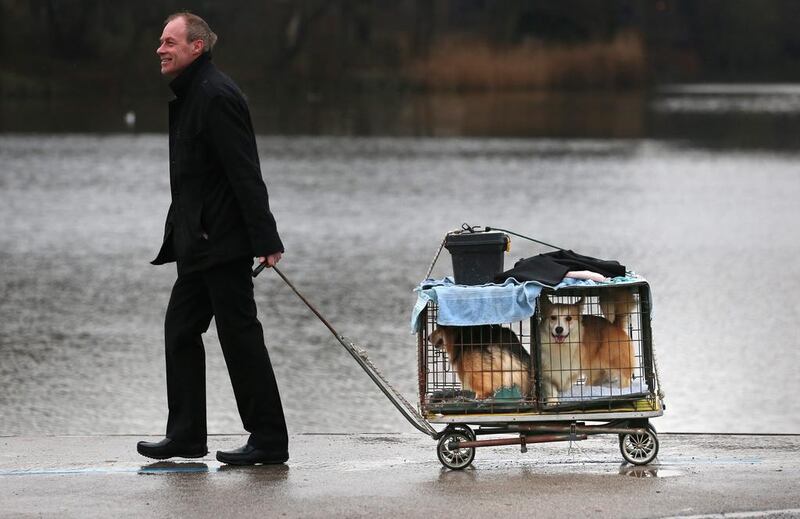 Dogs and their owners arrive to attend the first day of Crufts dog show. (Matt Cardy / Getty Images / March 6, 2014)