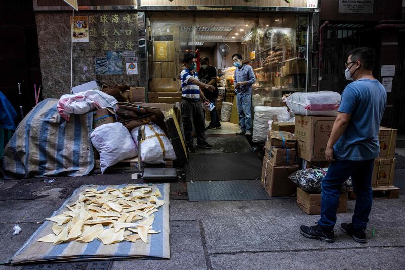 Shark fins are particularly sought after for traditional Chinese medicine and shark fin soup, which is considered a delicacy in Asia. AFP