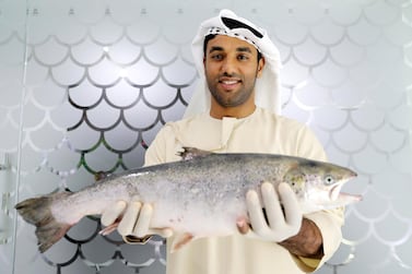 Bader Bin Mubarak, the chief executive of Fish Farm: 'We’ve made salmon in the desert, it’s pretty remarkable.' Pawan Singh / The National