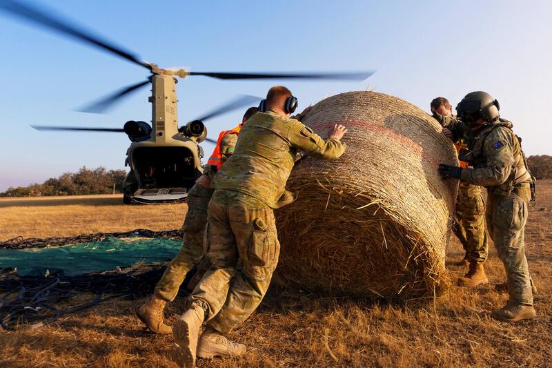 Australian Army CH-47 Chinooks from the 5th Aviation Regiment deliver hay bales to remote bushfire-affected farms on Kangaroo Island, Australia.  Reuters