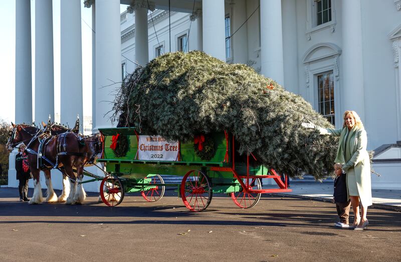 Ms Biden receives the official 2022 White House Christmas tree with her grandson Beau. Reuters