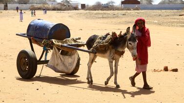 A girl leads a donkey as it pulls a metal barrel to a recently dug well for groundwater in Sudan's eastern state of Gedaref. AFP