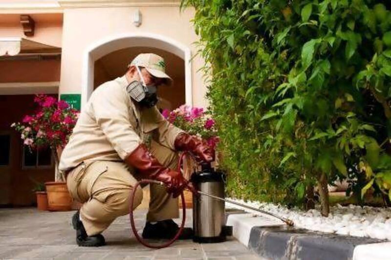 Authorities have warned the public not to use potentially deadly illegal pesticides or hire unlicensed pest-control companies.