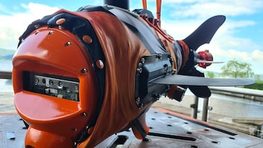 Aquaai's clownfish robot is equipped with cameras and sensors to gather data underwater for long periods of time.