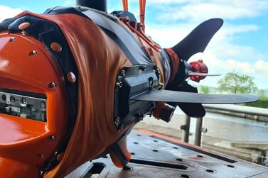 Aquaai's clownfish robot is equipped with cameras and sensors to gather data underwater for long periods of time.