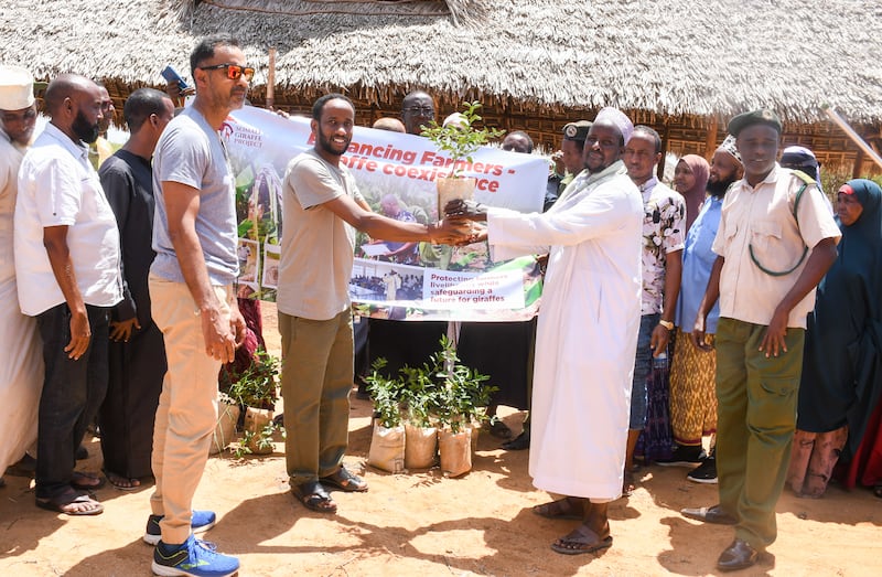 Dr Ali distributing lime trees to farmers participating in a conflict resolution workshop