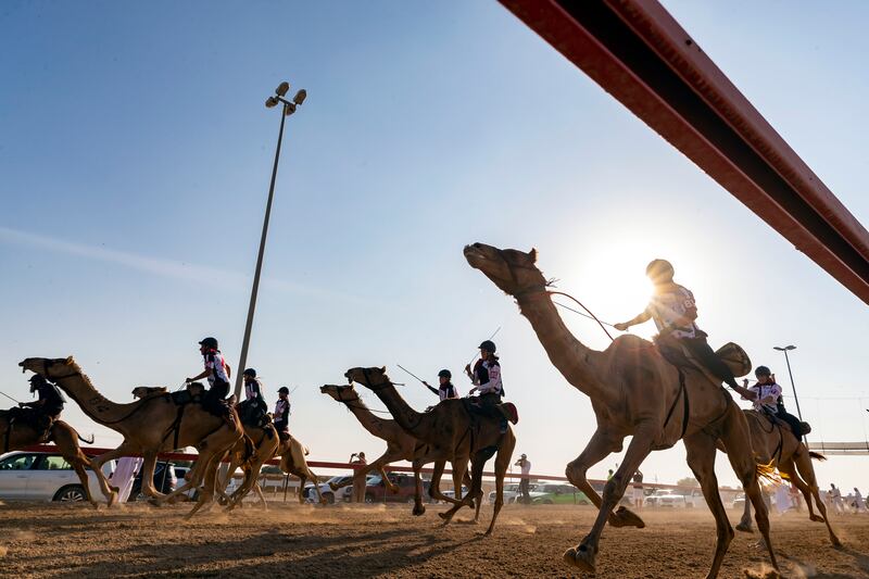 The first Camel Trek Marathon for UAE expatriates took place at the Al Marmoom race track in Dubai over a distance of 1,500m. All photos: Chris Whiteoak / The National