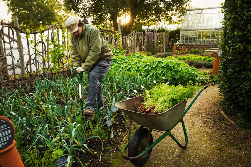 Heavy gardening, such as digging and shovelling, is linked to a 10-20 per cent lower risk of death from all causes, and from cardiovascular disease, diabetes, and cancer in particular. Getty Images