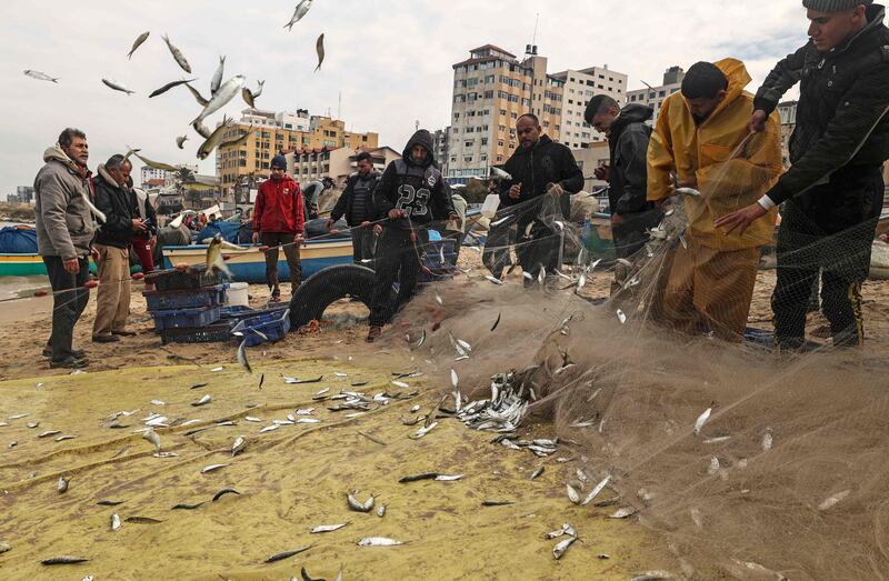 Palestinians fishermen sort their haul of fish caught in their nets along a beach in Gaza City.  AFP