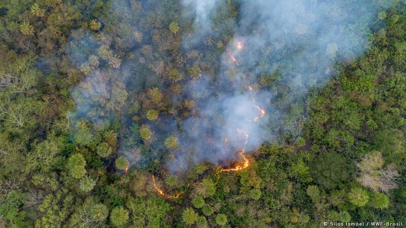 Aerial view of fires in the Pantanal, world's largest wetland. These fires are near Ladário (Black Bay), Mato Grosso do Sul, Brazil. (c) Silas Ismael, WWF-Brasil, 07.31.2020