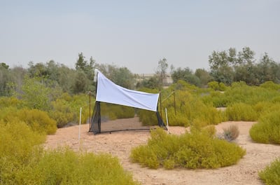 A malaise trap, which was used to trap the new species of spider hunting wasp