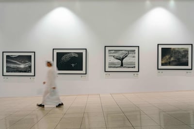 Dubai Airports is exhibiting works of renowned wildlife photographer Chris Fallows to highlight the urgent need for conservation. Photo: Dubai Airports