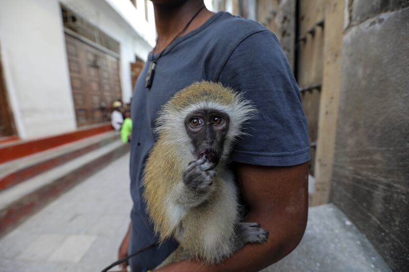 A man carries a young pet monkey in Zanzibar, Tanzania. EPA